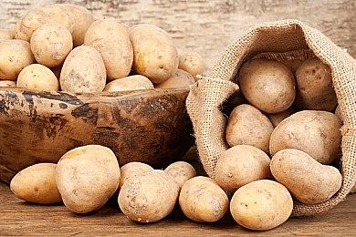 《给他爱5》过去三个月又卖了500万 总销量超1.65亿